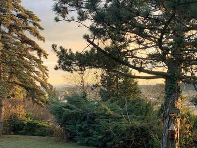 Grundstück kaufen in 2102 Hagenbrunn