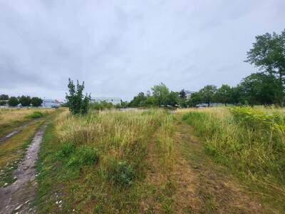 Gewerbegrundstück kaufen in 4600 Wels