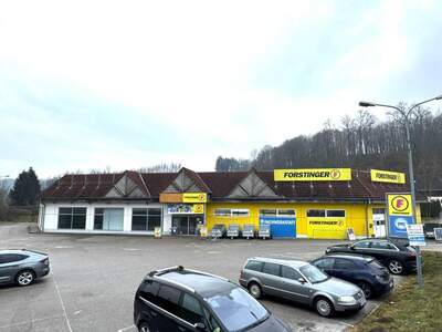 Gewerbeobjekt mieten in 4707 Schlüßlberg (Bild 3)