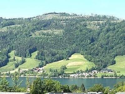 Grundstück kaufen in 4893 Zell