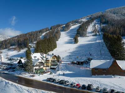 Gewerbeobjekt kaufen in 8785 Hohentauern (Bild 3)