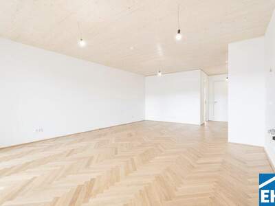 Terrassenwohnung kaufen in 1020 Wien (Bild 2)