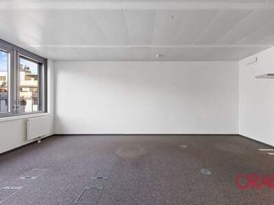 Gewerbeobjekt mieten in 1020 Wien (Bild 5)