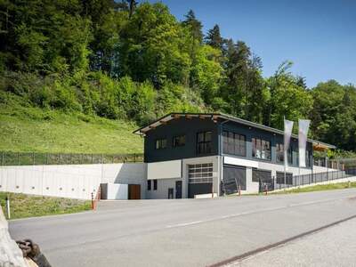 Gewerbeobjekt kaufen in 9212 Techelsberg