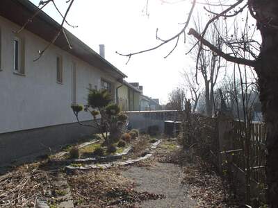 Haus mit Garten kaufen in 7091 Breitenbrunn (Bild 4)