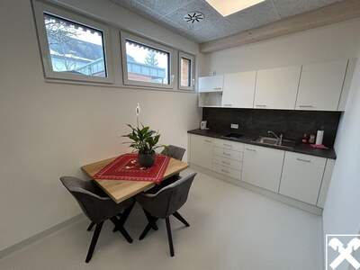 Gewerbeobjekt mieten in 4072 Alkoven (Bild 4)