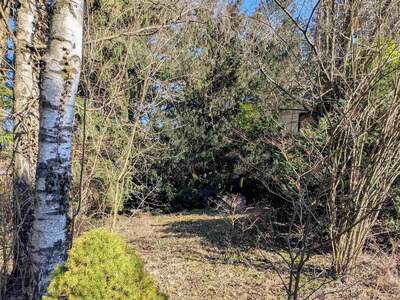 Grundstück kaufen in 3012 Wolfsgraben (Bild 3)