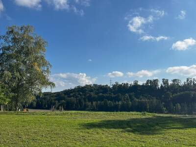 Grundstück kaufen in 4522 Sierning