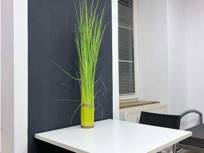 Haus kaufen in 9400 Wolfsberg (Bild 5)