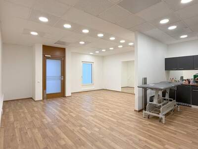 Gewerbeobjekt mieten in 3400 Klosterneuburg (Bild 3)