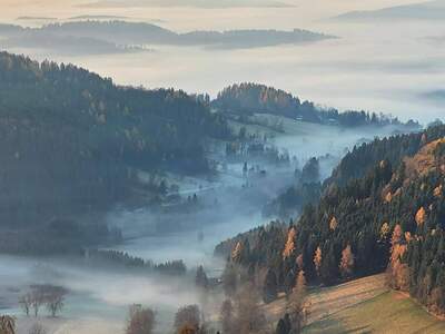 Haus provisionsfrei kaufen in 9554 Sankt Urban