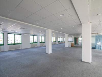 Gewerbeobjekt mieten in 1220 Wien (Bild 4)