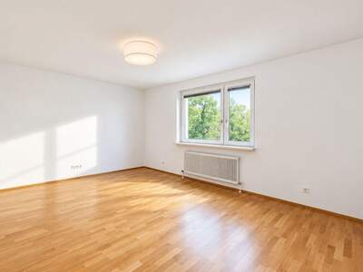 Apartment provisionsfrei mieten in 1100 Wien