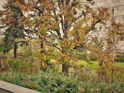 Wohnung mieten in 2500 Baden