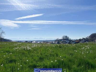 Wohnung kaufen (Bild 5)