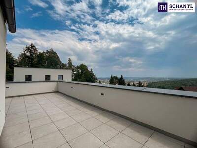 Terrassenwohnung kaufen in 8160 Birchbaum (Bild 3)