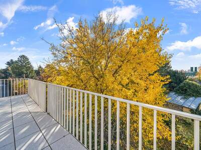 Terrassenwohnung kaufen in 1220 Wien (Bild 4)
