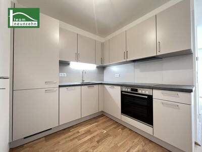 Terrassenwohnung mieten in 1220 Wien (Bild 2)