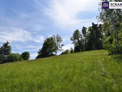 Grundstück kaufen in 8046 Graz (Bild 2)