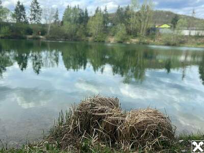 Gewerbeobjekt kaufen in 3382 Neubach (Bild 5)
