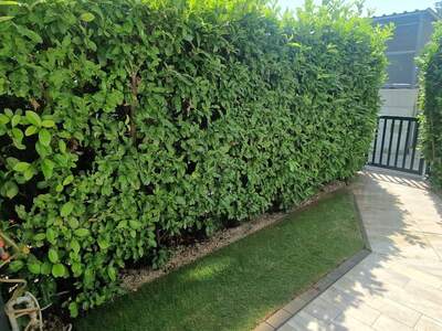 Eigentumswohnung in 2544 Leobersdorf