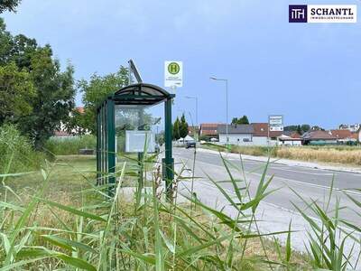 Grundstück kaufen in 2441 Mitterndorf (Bild 3)