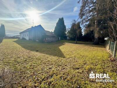 Haus kaufen in 4910 Ried (Bild 1)