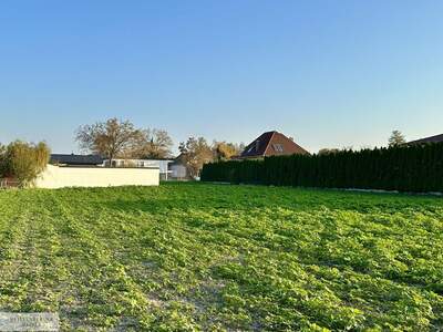 Grundstück kaufen in 2486 Pottendorf (Bild 3)