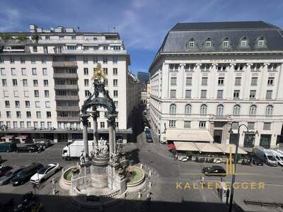 Mietwohnung in 1010 Wien