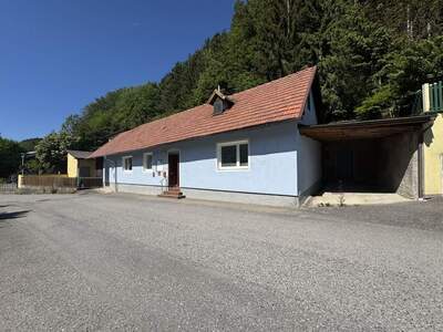 Haus kaufen in 2831 Scheiblingkirchen