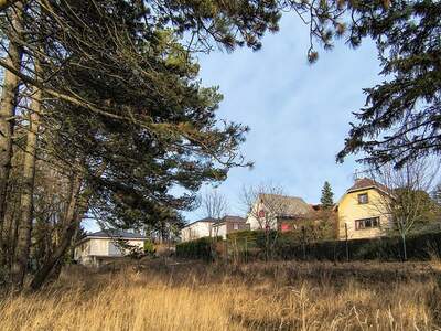 Grundstück kaufen in 1170 Wien (Bild 5)