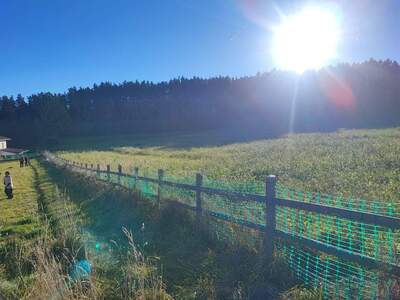 Grundstück provisionsfrei mieten in 4211 Alberndorf