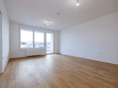 Terrassenwohnung mieten in 2700 Wr. Neustadt (Bild 1)