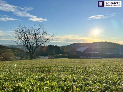 Grundstück kaufen in 8045 Weinitzen (Bild 1)