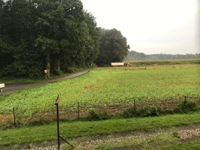 Terrassenwohnung mieten in 8472 Straß (Bild 4)