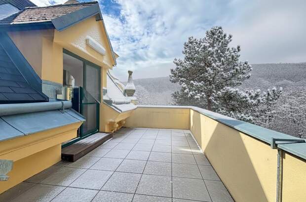 Terrassenwohnung kaufen in 2500 Baden (Bild 1)