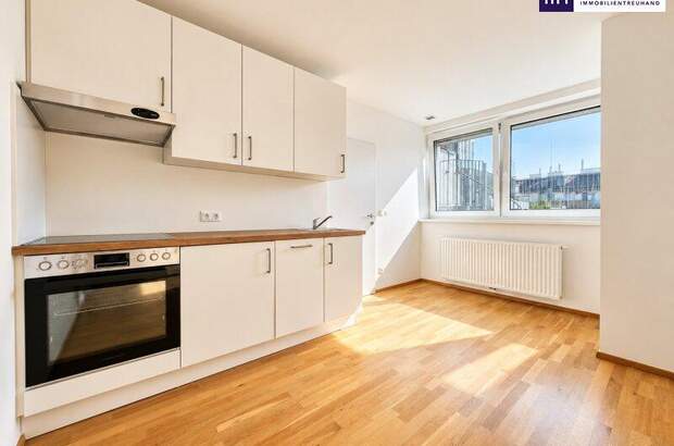 Terrassenwohnung kaufen in 1040 Wien (Bild 3)