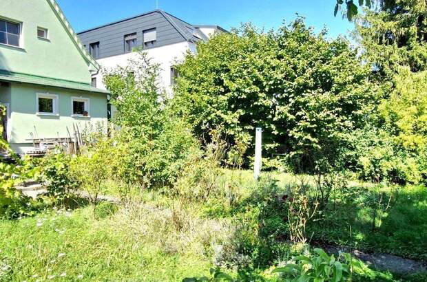 Haus kaufen in 1230 Wien (Bild 5)