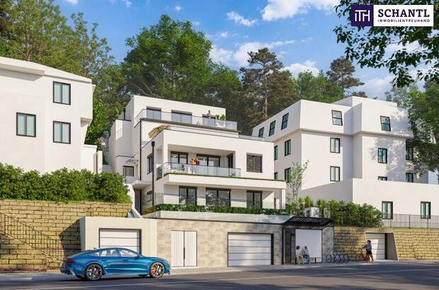 Terrassenwohnung kaufen in 3400 Klosterneuburg (Bild 3)