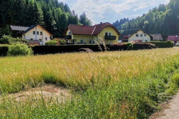 Grundstück kaufen in 9433 Schönweg (Bild 5)