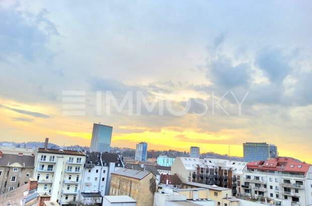 Terrassenwohnung kaufen in 4020 Linz (Bild 3)