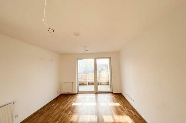 Terrassenwohnung mieten in 3140 Pottenbrunn (Bild 3)