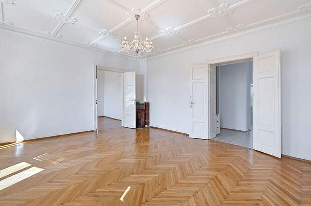 Altbauwohnung mit Balkon kaufen in 1190 Wien (Bild 2)
