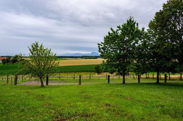 Gewerbeobjekt kaufen in 4600 Gunskirchen (Bild 3)