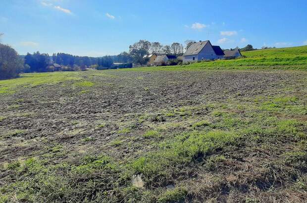 Grundstück kaufen in 8412 Allerheiligen (Bild 1)