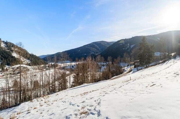 Grundstück kaufen in 9564 Rottenstein (Bild 4)