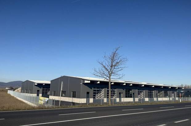 Lager mieten in 2524 Teesdorf (Bild 4)