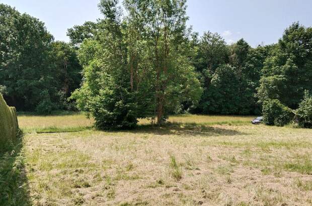 Grundstück kaufen in 4073 Wilhering (Bild 1)