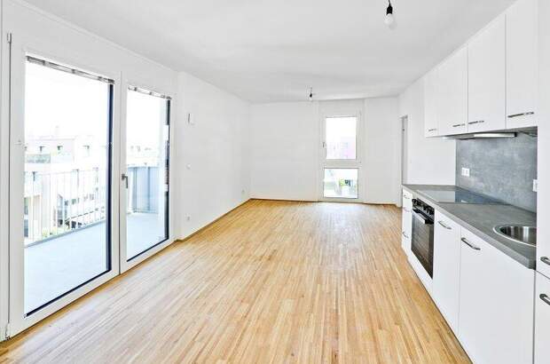 Terrassenwohnung mieten in 1220 Wien (Bild 1)