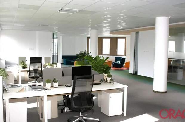 Gewerbeobjekt mieten in 1210 Wien (Bild 1)